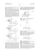 AMINO ACID PEPTIDE PRO-DRUGS OF PHENOLIC ANALGESICS AND USES THEREOF diagram and image