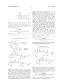 AMINO ACID PEPTIDE PRO-DRUGS OF PHENOLIC ANALGESICS AND USES THEREOF diagram and image