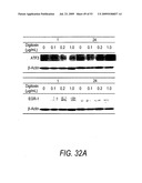 Anti-neoplastic compositions comprising extracts of black cohosh diagram and image