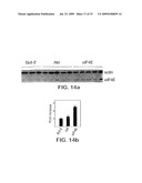 Model for studying the role of genes in chemoresistance diagram and image