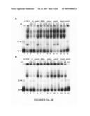 Methods and compositions for inhibition of viral replication diagram and image