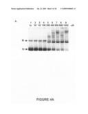 Methods and compositions for inhibition of viral replication diagram and image