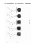 Methods and compositions for inhibition of viral replication diagram and image