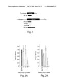 RNA sequence-specific mediators of RNA interference diagram and image