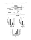 RNA sequence-specific mediators of RNA interference diagram and image