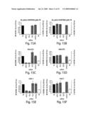 RNA sequence-specific mediators of RNA interference diagram and image