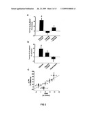 SiRNA DELIVERY INTO MAMMALIAN NERVE CELLS diagram and image