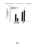 SiRNA DELIVERY INTO MAMMALIAN NERVE CELLS diagram and image