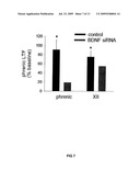 SiRNA DELIVERY INTO MAMMALIAN NERVE CELLS diagram and image