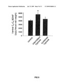 SiRNA DELIVERY INTO MAMMALIAN NERVE CELLS diagram and image