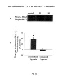 SiRNA DELIVERY INTO MAMMALIAN NERVE CELLS diagram and image