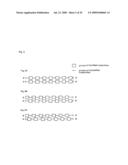 INTERFERING RNA MOLECULES diagram and image