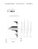 INTERFERING RNA MOLECULES diagram and image