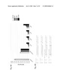 INTERFERING RNA MOLECULES diagram and image