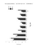 INTERFERING RNA MOLECULES diagram and image