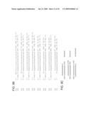 INTERFERING RNA MOLECULES diagram and image