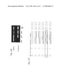 INTERFERING RNA MOLECULES diagram and image