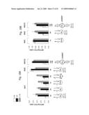 INTERFERING RNA MOLECULES diagram and image