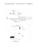 Methods to reprogram splice site selection in pre-messenger RNAs diagram and image