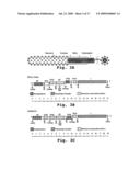 ANTISENSE ANTIVIRAL COMPOUNDS AND METHODS FOR TREATING A FILOVIRUS INFECTION diagram and image