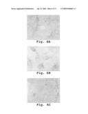 ANTISENSE ANTIVIRAL COMPOUNDS AND METHODS FOR TREATING A FILOVIRUS INFECTION diagram and image