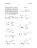 THERAPEUTIC COMPOUNDS diagram and image