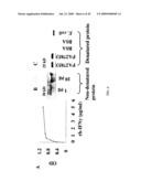 Method for Treating Endothelial and Epithelial Cell Disorders by Administering High Molecular Weight PEG-Like Compounds diagram and image