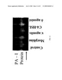 Method for Treating Endothelial and Epithelial Cell Disorders by Administering High Molecular Weight PEG-Like Compounds diagram and image