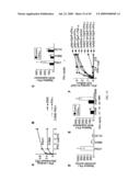 Method for Treating Endothelial and Epithelial Cell Disorders by Administering High Molecular Weight PEG-Like Compounds diagram and image