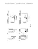 Method for Treating Endothelial and Epithelial Cell Disorders by Administering High Molecular Weight PEG-Like Compounds diagram and image