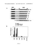 Method for Treating Endothelial and Epithelial Cell Disorders by Administering High Molecular Weight PEG-Like Compounds diagram and image