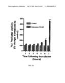 Method for Treating Endothelial and Epithelial Cell Disorders by Administering High Molecular Weight PEG-Like Compounds diagram and image