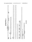 EXPRESSION SYSTEM FOR ENHANCING SOLUBILITY AND IMMUNOGENEICITY OF RECOMBINANT PROTEINS diagram and image