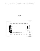 NOVEL PROTEIN, A GENE ENCODING THEREFOR AND A METHOD OF USING THE SAME diagram and image