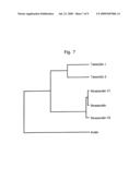 NOVEL PROTEIN, A GENE ENCODING THEREFOR AND A METHOD OF USING THE SAME diagram and image