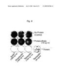 NOVEL PROTEIN, A GENE ENCODING THEREFOR AND A METHOD OF USING THE SAME diagram and image