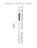 Protein Kinase Stress-Related Proteins and Methods of Use in Plants diagram and image