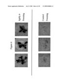 Protein Kinase Stress-Related Proteins and Methods of Use in Plants diagram and image