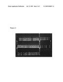 PLANTS HAVING TOMATO TORRADO VIRUS RESISTANCE diagram and image