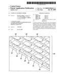 COMPLIANT MEMBRANE PROBE diagram and image