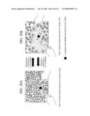 TOUCH PANEL DEVICE AND USER INTERFACE DEVICE diagram and image