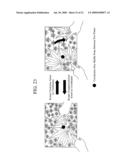 TOUCH PANEL DEVICE AND USER INTERFACE DEVICE diagram and image