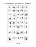 BLOOD AND CELL ANALYSIS USING AN IMAGING FLOW CYTOMETER diagram and image