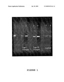 TENOCYTE CELL CULTURING METHOD diagram and image