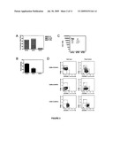 HUMAN HEMATOPOIETIC MULTIPOTENT PROGENITOR CELLS diagram and image