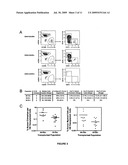 HUMAN HEMATOPOIETIC MULTIPOTENT PROGENITOR CELLS diagram and image