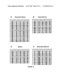 HUMAN HEMATOPOIETIC MULTIPOTENT PROGENITOR CELLS diagram and image