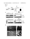 Compositions, Kits, and Methods for the Modulation of Immune Responses Using Galectin-1 diagram and image