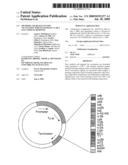 Methods and reagents for vaccination which generate A CD8 T cell immune response diagram and image