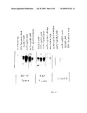 Antibody fragment-targeted immunoliposomes for systemic gene delivery diagram and image